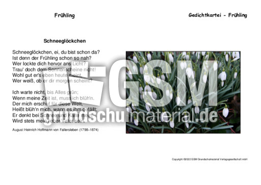 Schneeglöckchen-A-Fallersleben.pdf